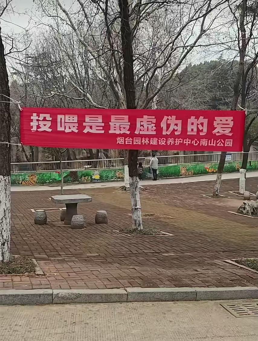 体育平台-“投喂是最虚伪的爱！”烟台一动物园标语被指豪横，园方回应“卖投喂食品强制爱”质疑
